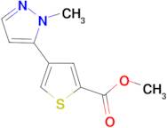 METHYL 4-(1-METHYL-1H-PYRAZOL-5-YL)THIOPHENE-2-CARBOXYLATE