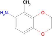 5-METHYL-2,3-DIHYDRO-1,4-BENZODIOXIN-6-AMINE