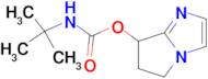 6,7-DIHYDRO-5H-PYRROLO[1,2-A]IMIDAZOL-7-YL TERT-BUTYLCARBAMATE