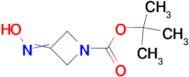 TERT-BUTYL 3-(HYDROXYIMINO)AZETIDINE-1-CARBOXYLATE