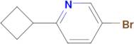 5-BROMO-2-CYCLOBUTYLPYRIDINE