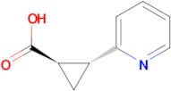 TRANS-2-(PYRIDIN-2-YL)CYCLOPROPANECARBOXYLIC ACID