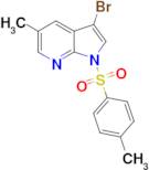 3-BROMO-5-METHYL-1-TOSYL-1H-PYRROLO[2,3-B]PYRIDINE