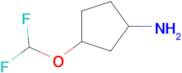 3-(DIFLUOROMETHOXY)CYCLOPENTAN-1-AMINE