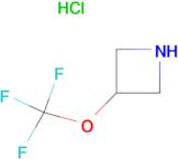 3-(TRIFLUOROMETHOXY)AZETIDINE HCL