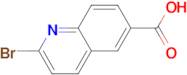 2-BROMOQUINOLINE-6-CARBOXYLIC ACID