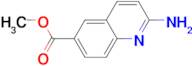 METHYL 2-AMINOQUINOLINE-6-CARBOXYLATE