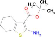 TERT-BUTYL 2-AMINO-4,5,6,7-TETRAHYDROBENZO[B]THIOPHENE-3-CARBOXYLATE