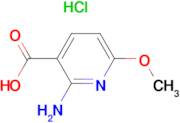 2-AMINO-6-METHOXYNICOTINIC ACID HCL