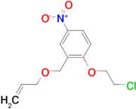 2-(ALLYLOXYMETHYL)-1-(2-CHLOROETHOXY)-4-NITROBENZENE