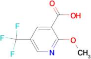 2-METHOXY-5-(TRIFLUOROMETHYL)NICOTINIC ACID