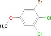 1-BROMO-2,3-DICHLORO-5-METHOXYBENZENE