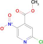 METHYL 2-CHLORO-5-NITROISONICOTINATE