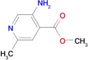 METHYL 5-AMINO-2-METHYLISONICOTINATE