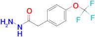 2-(4-(TRIFLUOROMETHOXY)PHENYL)ACETOHYDRAZIDE