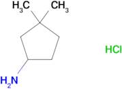 3,3-DIMETHYLCYCLOPENTAN-1-AMINE HCL