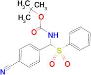 TERT-BUTYL ((4-CYANOPHENYL)(PHENYLSULFONYL)METHYL)CARBAMATE