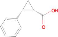 (1S,2R)-2-PHENYLCYCLOPROPANECARBOXYLIC ACID