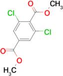 DIMETHYL 2,6-DICHLOROTEREPHTHALATE