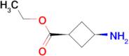 ETHYL (1S,3S)-3-AMINOCYCLOBUTANE-1-CARBOXYLATE