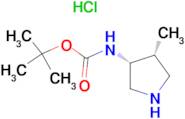 TERT-BUTYL ((3R,4R)-4-METHYLPYRROLIDIN-3-YL)CARBAMATE HCL