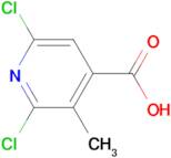 2,6-DICHLORO-3-METHYLISONICOTINIC ACID