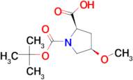 (2R,4R)-1-(TERT-BUTOXYCARBONYL)-4-METHOXYPYRROLIDINE-2-CARBOXYLIC ACID