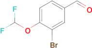 3-BROMO-4-(DIFLUOROMETHOXY)BENZALDEHYDE