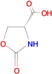 (R)-2-Oxooxazolidine-4-carboxylic acid
