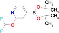 2-(DIFLUOROMETHOXY)-4-(4,4,5,5-TETRAMETHYL-1,3,2-DIOXABOROLAN-2-YL)PYRIDINE