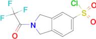 2-(2,2,2-TRIFLUOROACETYL)ISOINDOLINE-5-SULFONYL CHLORIDE