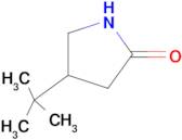 4-(TERT-BUTYL)PYRROLIDIN-2-ONE