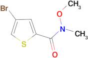 4-BROMO-N-METHOXY-N-METHYLTHIOPHENE-2-CARBOXAMIDE