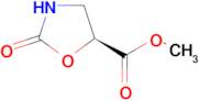 Methyl (S)-2-oxooxazolidine-5-carboxylate