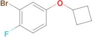 2-BROMO-4-CYCLOBUTOXY-1-FLUOROBENZENE