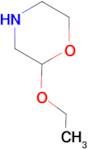 2-ETHOXY-MORPHOLINE