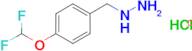 (4-(DIFLUOROMETHOXY)BENZYL)HYDRAZINE 2HCL