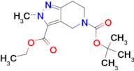 5-TERT-BUTYL 3-ETHYL 2-METHYL-6,7-DIHYDRO-2H-PYRAZOLO[4,3-C]PYRIDINE-3,5(4H)-DICARBOXYLATE