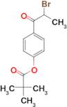 4-(2-BROMOPROPANOYL)PHENYL PIVALATE