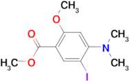 METHYL 4-(DIMETHYLAMINO)-5-IODO-2-METHOXYBENZOATE