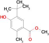 METHYL 5-(TERT-BUTYL)-4-HYDROXY-2-METHYLBENZOATE