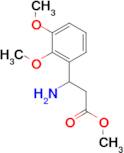 METHYL 3-AMINO-3-(2,3-DIMETHOXYPHENYL)PROPANOATE