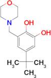 5-(TERT-BUTYL)-3-(MORPHOLINOMETHYL)BENZENE-1,2-DIOL