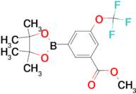 METHYL 3-(4,4,5,5-TETRAMETHYL-1,3,2-DIOXABOROLAN-2-YL)-5-(TRIFLUOROMETHOXY)BENZOATE