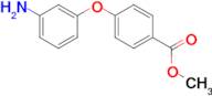 METHYL 4-(3-AMINOPHENOXY)BENZOATE