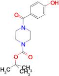 TERT-BUTYL 4-(4-HYDROXYBENZOYL)PIPERAZINE-1-CARBOXYLATE