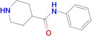 N-PHENYLPIPERIDINE-4-CARBOXAMIDE