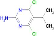 4,6-DICHLORO-5-(1-METHYLETHYL)-2-PYRIMIDINAMINE