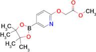 Methyl 2-((5-(4,4,5,5-tetramethyl-1,3,2-dioxaborolan-2-yl)pyridin-2-yl)oxy)acetate