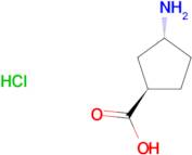 trans-3-aminocyclopentane-1-carboxylic acid hydrochloride